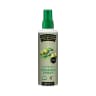 International Collection - One Cal Spray Olive - Unflavoured - 190ml