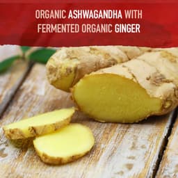 Garden Of Life - Mykind Ashwagandha - 60 Vegan Tabs