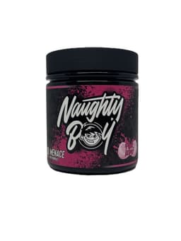 Naughty Boy - Menace V2