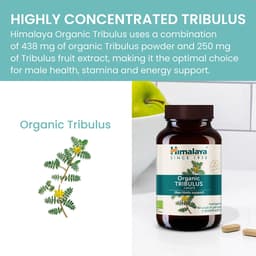 Himalaya - Organic Tribulus Men Libido Support - 60 Caplets