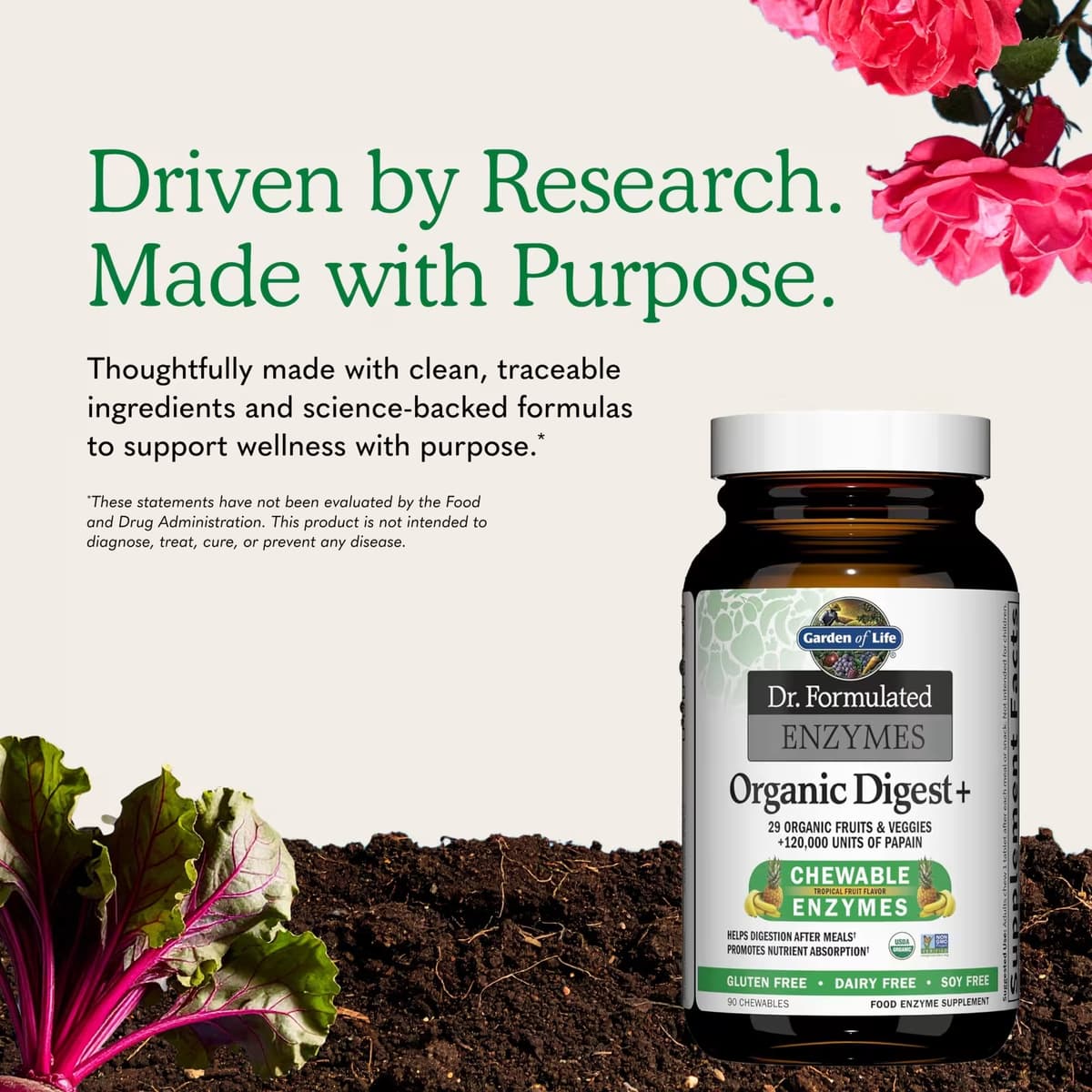 Garden of Life - Dr. Formulated Enzymes ekologiska matsmältningsenzymer - 90 tuggtabletter