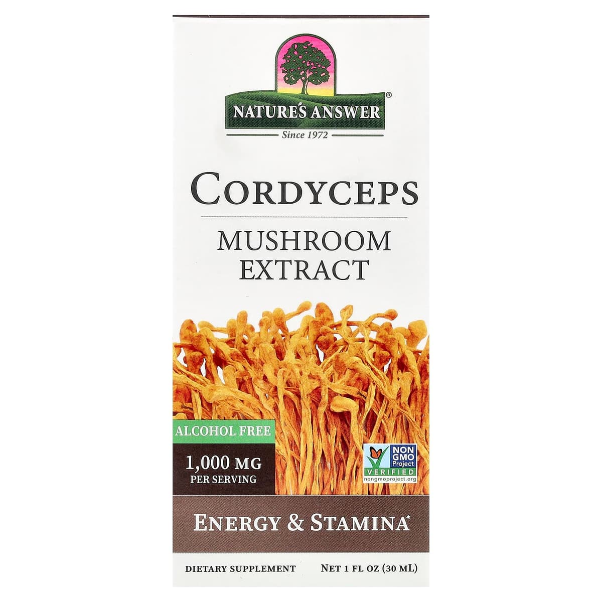 Nature'S Answer - Cordyceps-sienetinktuote - 1 fl oz
