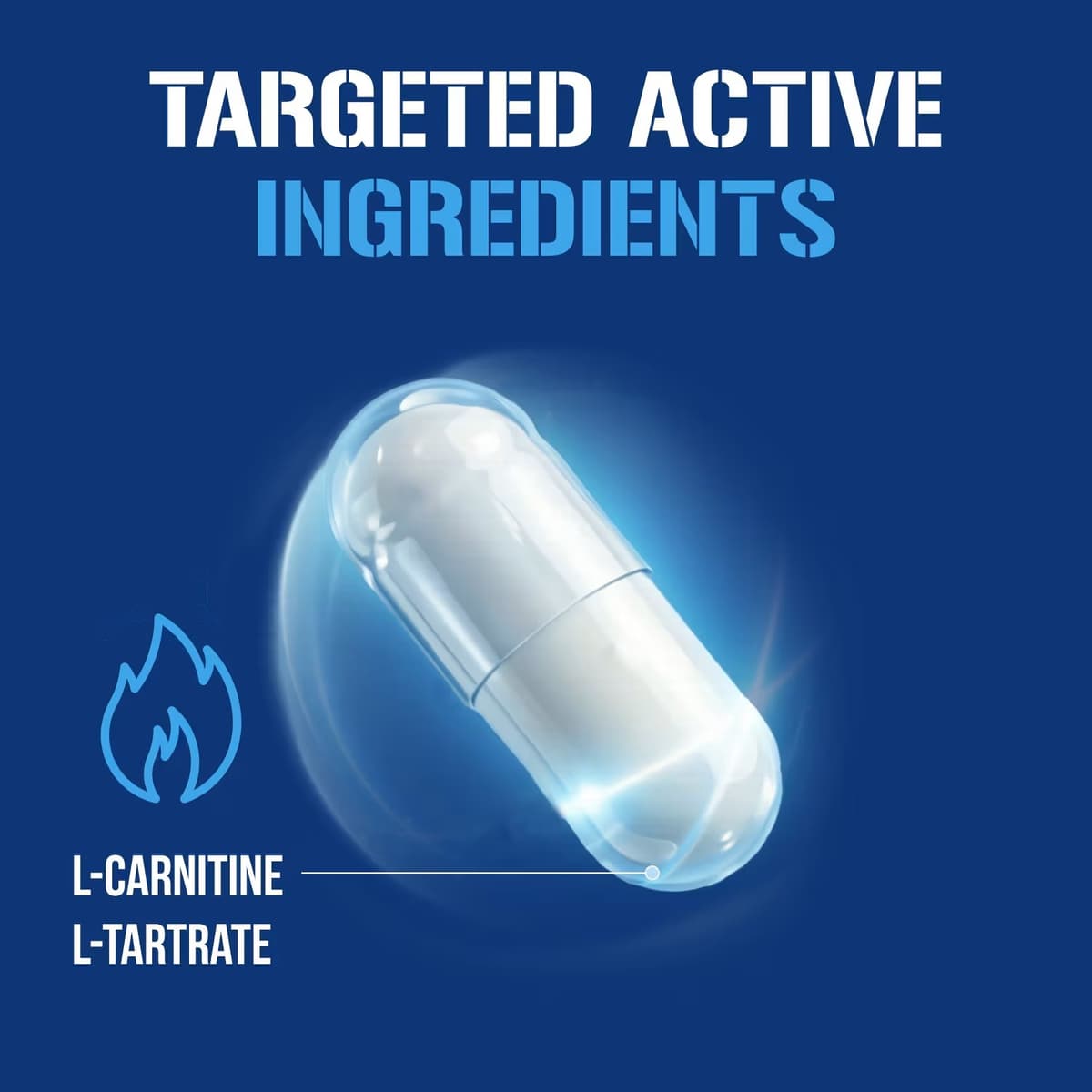 EVLution Nutrition - L-Carnitine 500 - 120 Caps