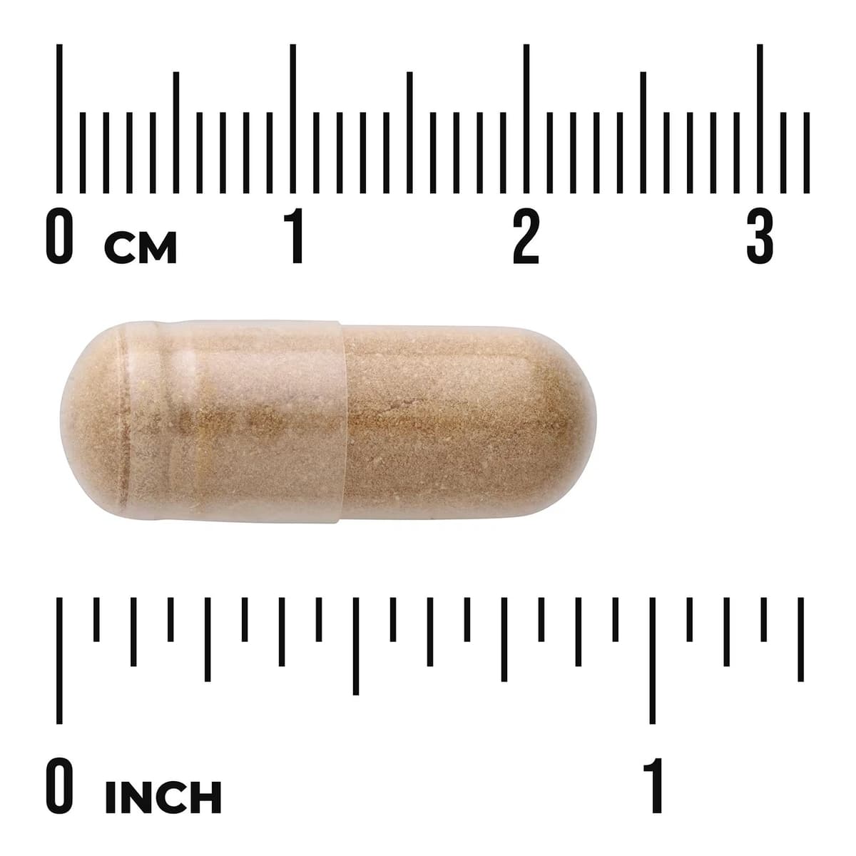 Swanson - Reishi Mushroom Extract - 90 Caps