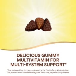 Nature's Way - Premium Adult Multivitamin Gummies - 90 Gummies