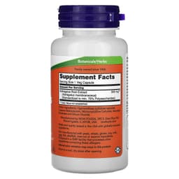 NOW Foods - Astragalus Extract - 90 Vcaps