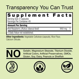 Nature's Answer - Red Raspberry - 90 Vcaps