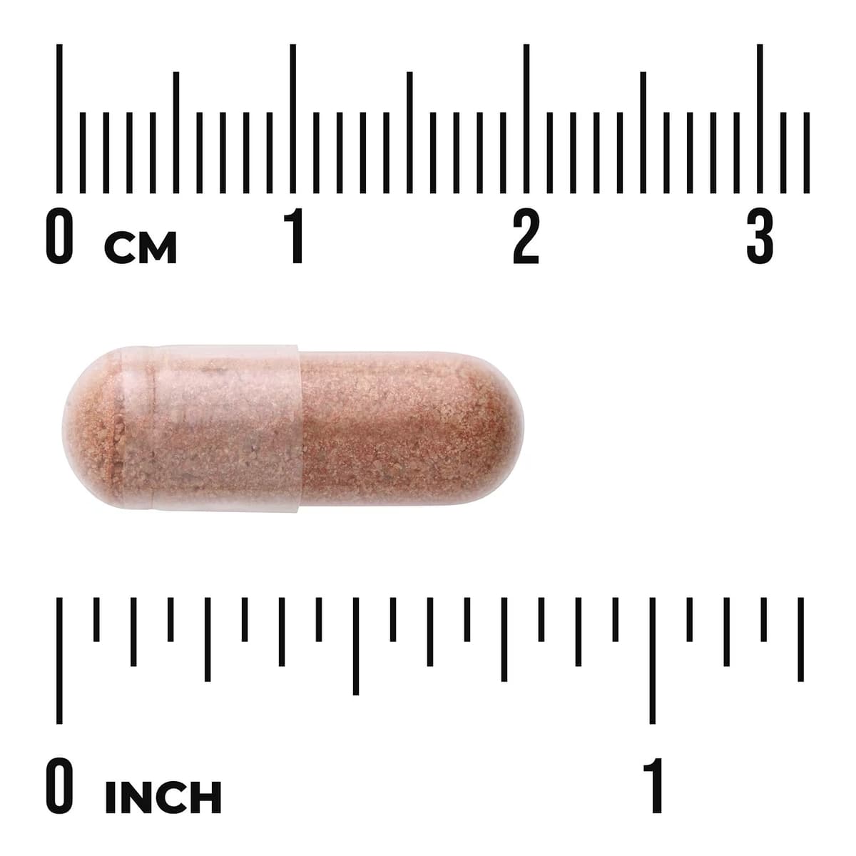 Swanson - Pine Bark Extract - 100 Caps