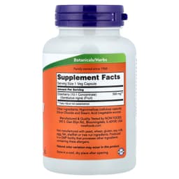 NOW Foods - Elderberry 500mg - 120 Capsules