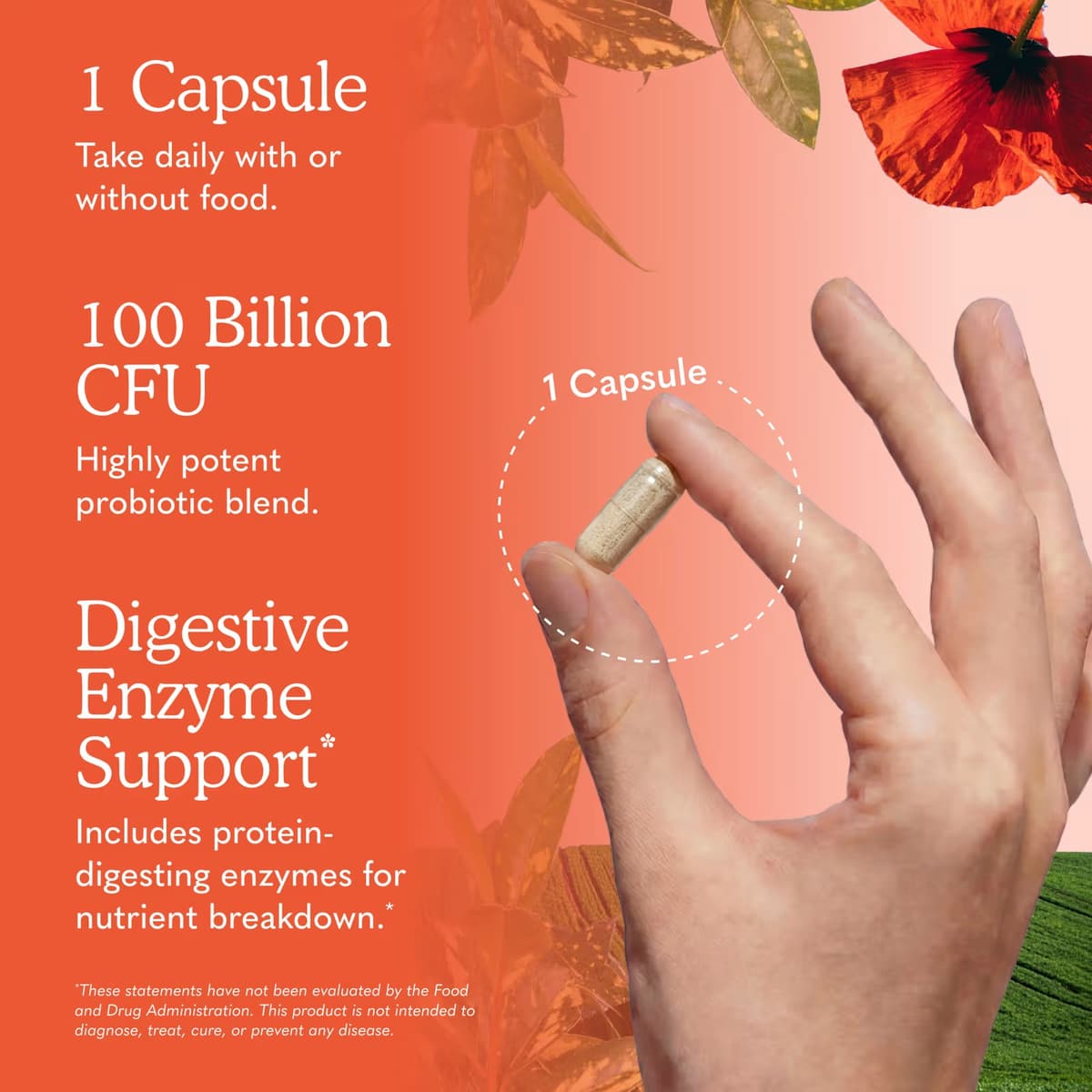 Garden Of Life - Raw Probiotics Ultimate Care - 30 Caps