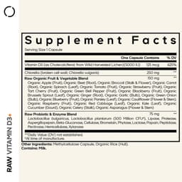 Codeage Raw Vitamin D3+ - 60 Vcaps - 60 Vegetable Caps