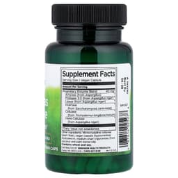 Swanson - Anti-Gas Enzyme - 90 Veggie Caps