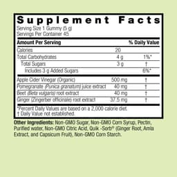 Nature'S Answer - Apple Cider Vinegar + Ginger Gummies - 45 Pectin Gummies