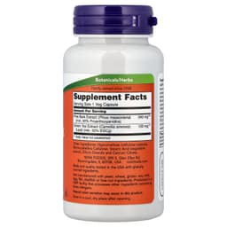 NOW Foods - Pine Bark Extract - 240mg - 90 Vcaps