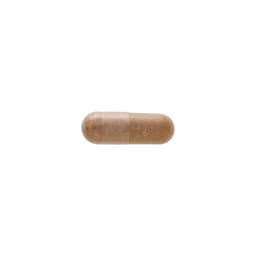 Swanson - Milk Thistle Combination - 60 Caps