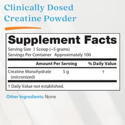 Doctor's Best - Creatine Powder - 500g