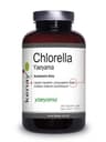 Kenay - Chlorella Yaeyama