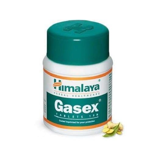 Himalaya Herbals - Gasex - 100 Tabs