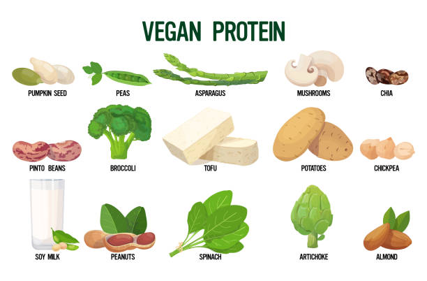 bästa proteinkällor för veganer