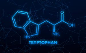 L-tryptofan