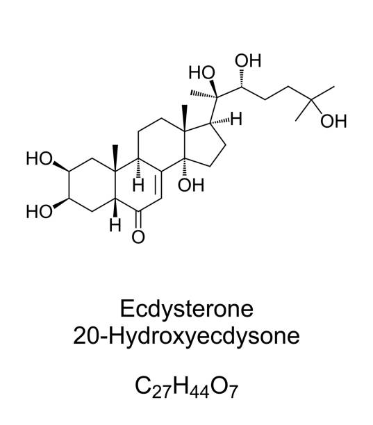 ecdysterone