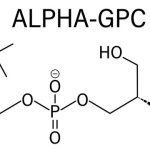 Alpha⁣ GPC
