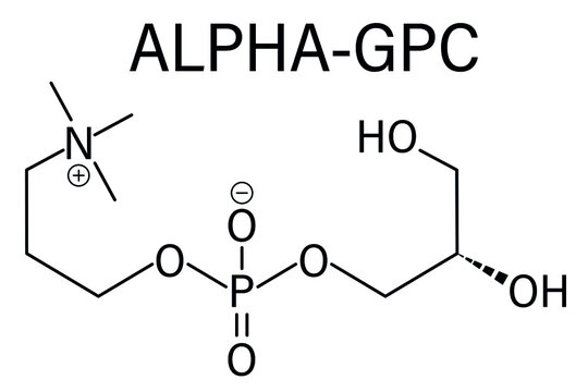 Alpha⁣ GPC