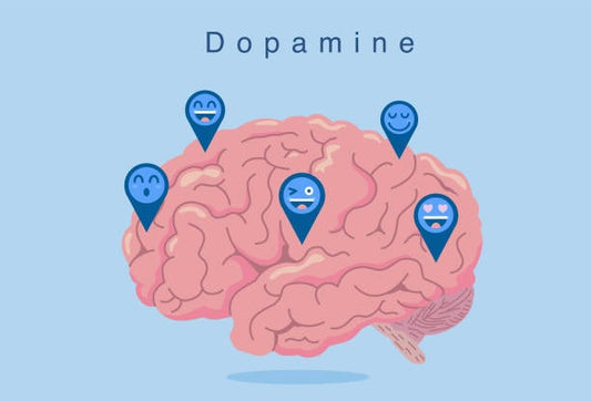 Illustration of a brain with dopamine markers showing emotions of happiness and motivation.