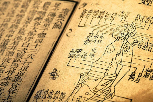 Illustration of ancient medicinal text showing human anatomy and acupuncture points.