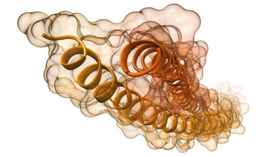 3D illustration of keratin protein structure highlighting its helical formation and molecular complexity.