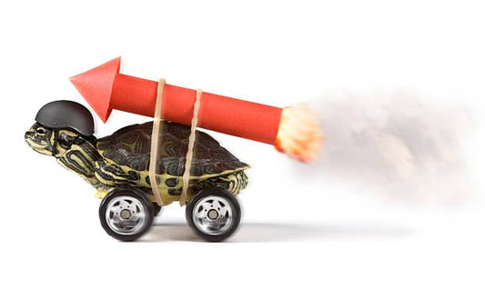 Turtle in a toy car with a rocket, symbolizing speed and creativity in a fun way.