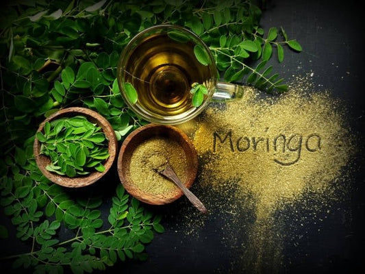 Moringa leaves, powder, and oil arranged artistically against a dark background, highlighting its health benefits.
