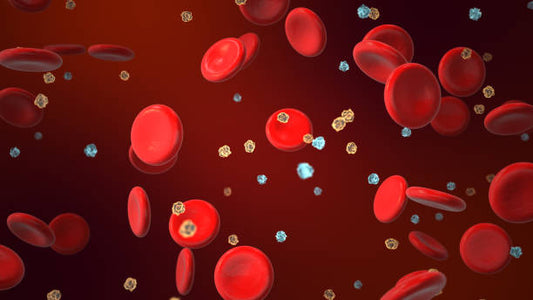 Illustration of red blood cells in circulation, highlighting their role in the body's energy and health.