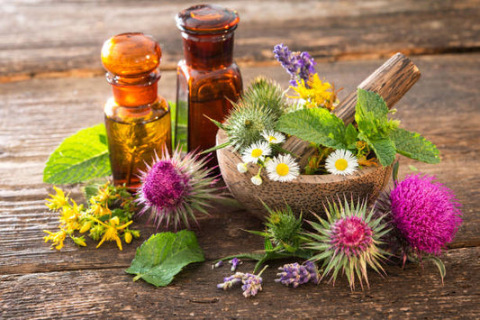 Naturapoteket – din guide till naturliga alternativ för hälsa och välbefinnande