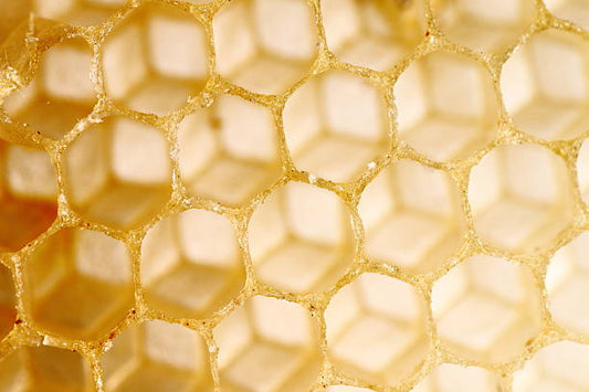 🐝 Propolis – Naturens eget försvarselixir med kraftfulla hälsofördelar