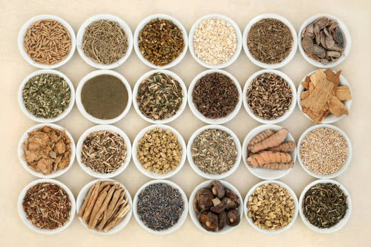 Various herbs and adaptogenic ingredients in small bowls for natural health remedies.