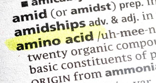 Definition of amino acid highlighted in a dictionary entry.