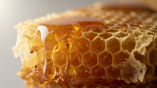 Propolis – Naturens eget försvarselixir med kraftfulla hälsofördelar