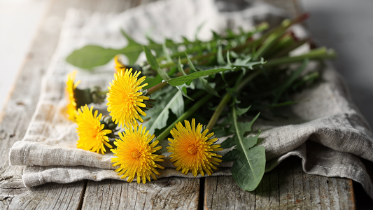 Färska maskrosblad och gula maskrosblommor på en träskiva