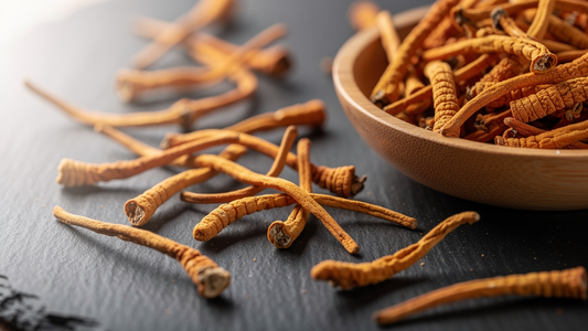 Torkade cordyceps-svampar på mörk skifferyta bredvid en träskål