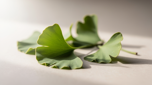 Ginkgo Biloba: Naturligt tillskott för hjärna och hjärta