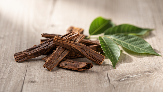 Eucommia Bark: Naturligt kosttillskott för hälsa och välbefinnande