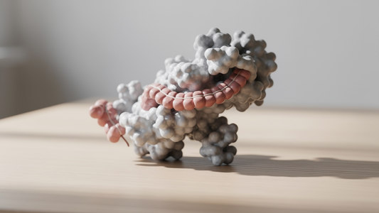 Chymotrypsin - enzymet som optimerar din hälsa