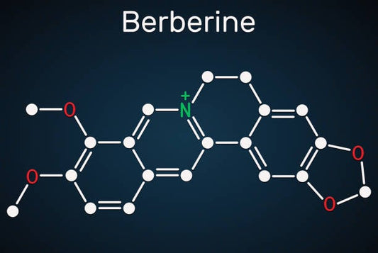 Molekylstruktur av Berberine med tydlig märkning av atomer och bindningar.