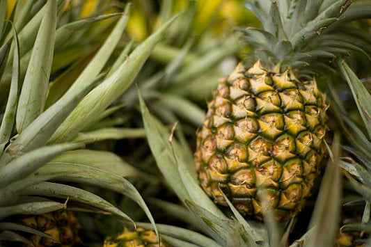 Close-up of a ripe pineapple surrounded by green leaves, showcasing its natural texture and color.