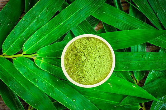 Chlorella powder in a bowl on a vibrant green leaf background, emphasizing its natural and dietary supplement qualities.