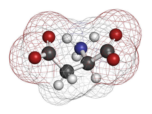 3D molecular structure of D-aspartic acid, a key amino acid for testosterone production.