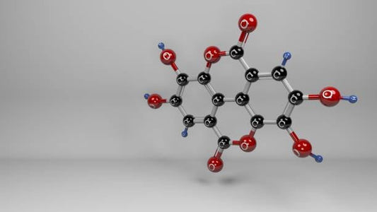 3D molecular structure of ellagic acid, a health-promoting antioxidant found in fruits like pomegranates.