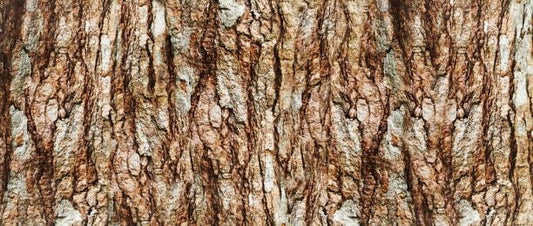 Textur av Eucommia bark med ruggiga, bruna och grå nyanser, symboliserande dess naturliga ursprung.