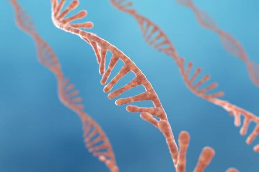 Illustration av DNA-strängar som representerar biokemi och enzymaktivitet.